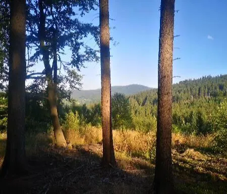 Exclusive Appartement