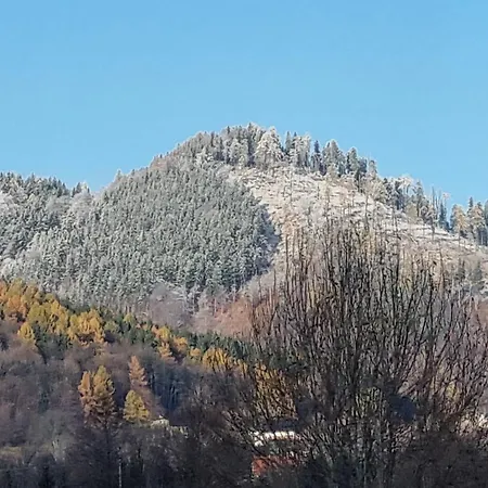 Appartement Exclusive Gluszyca