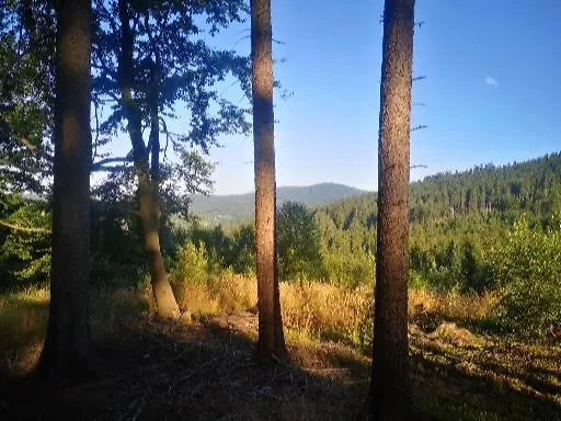 Exclusive Apartamento