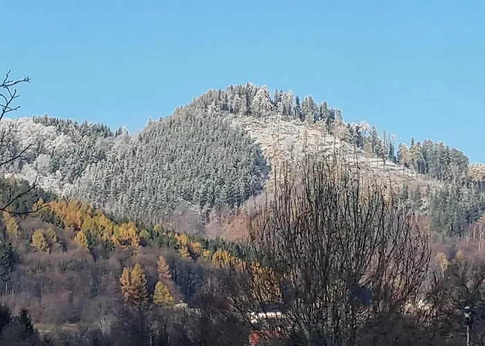 Apartment Exclusive Gluszyca